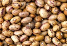 Ricetta - “Pane a Mullu” con con fagioli